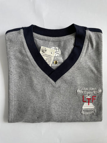 Polera Deportiva Liceo A-21.
